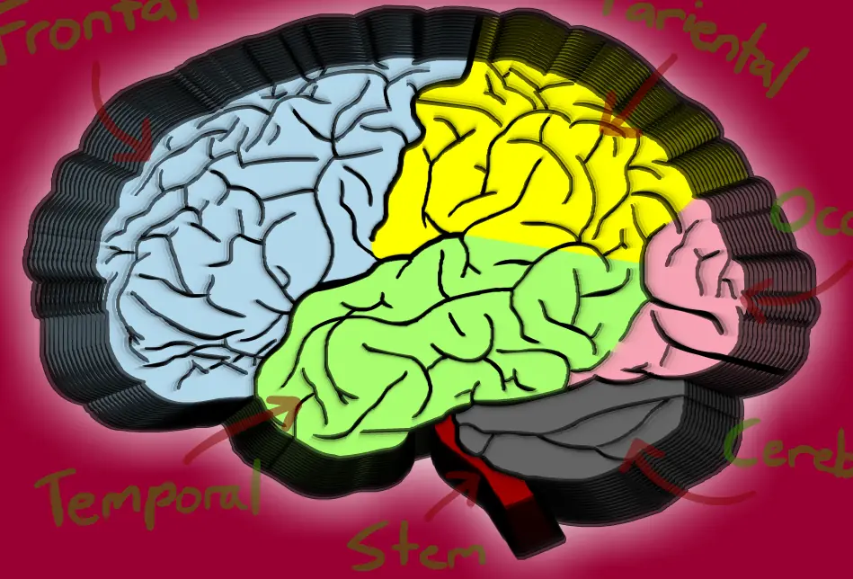 A Brain that Transforms... logo
