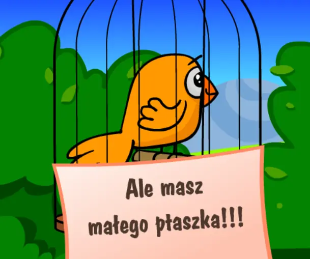 Ale masz małego ptaszka!!! logo
