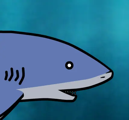 Animated Shark logo