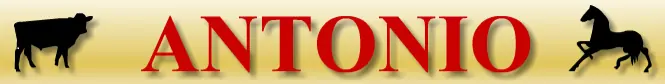 ANTONIO Header logo