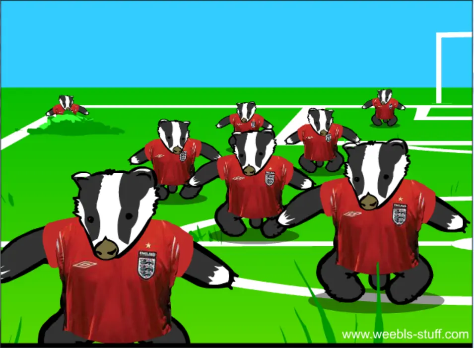Badgers Footy logo