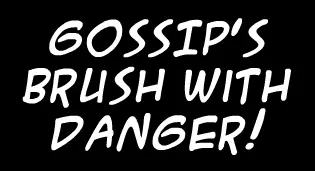 Big Bubba 2004: Gossip's Brush With Danger! logo
