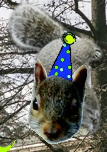 Birthday Squirrels logo
