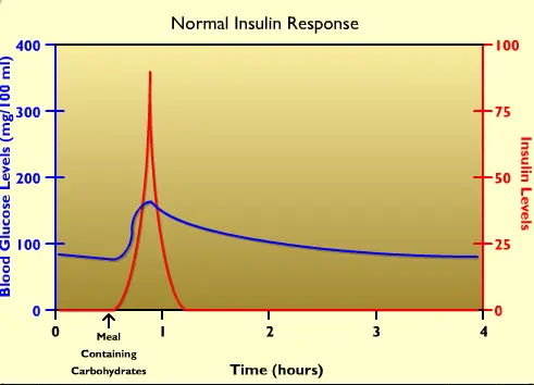 Blood Sugar Regulation in Diabetics logo