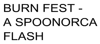 Burn Fest logo