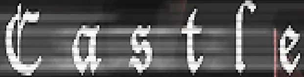 Castle Series Tribute logo