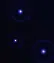 Chillout Planet Earth logo
