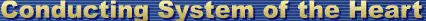 Conducting System of the Heart logo