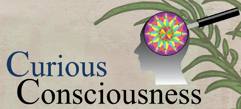 Curious Consciouness intro logo