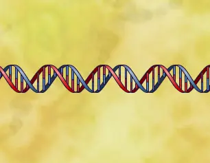 DNA Replication logo