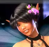 -Dream of a Japanese Pixie- logo