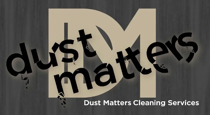 Dust Matters Cleaning Services Website Intro logo