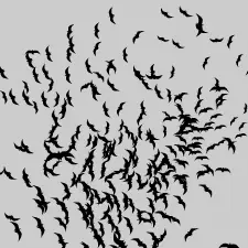 Flocking 3D logo