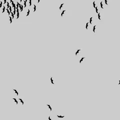Flocking logo
