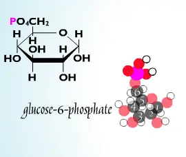 Glycolysis logo