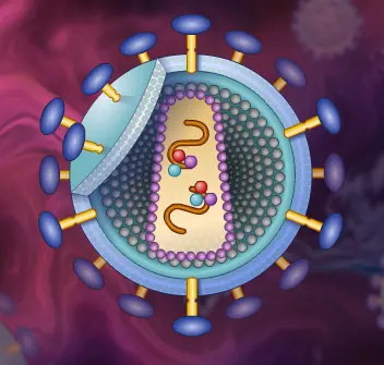 HIV Replication logo
