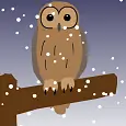 HOOT HOOT HOOT logo