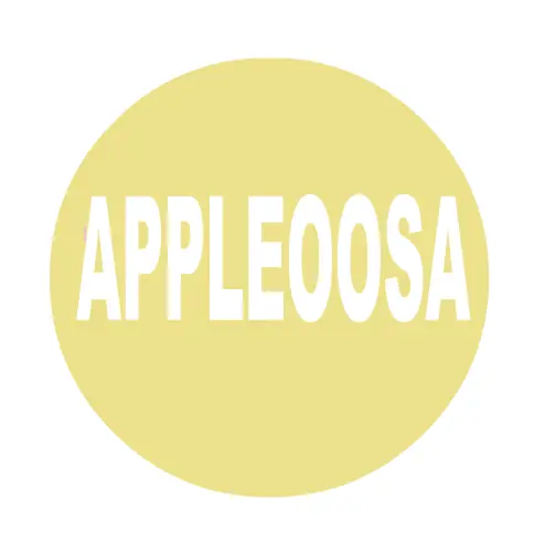 INSTANT BRAEBURN -Flash- logo
