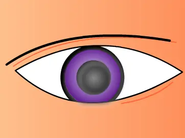 My Life Reflected In Your Eyes logo