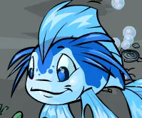 Neopet Preview: Koi logo