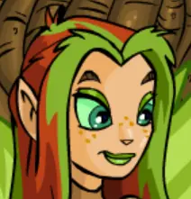 Neopets Advent Calendar 2010: Day 15 logo
