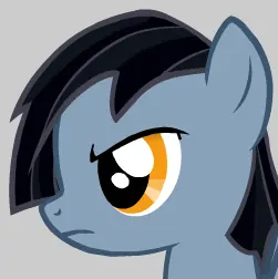 OC Pony Wing Flap Test logo