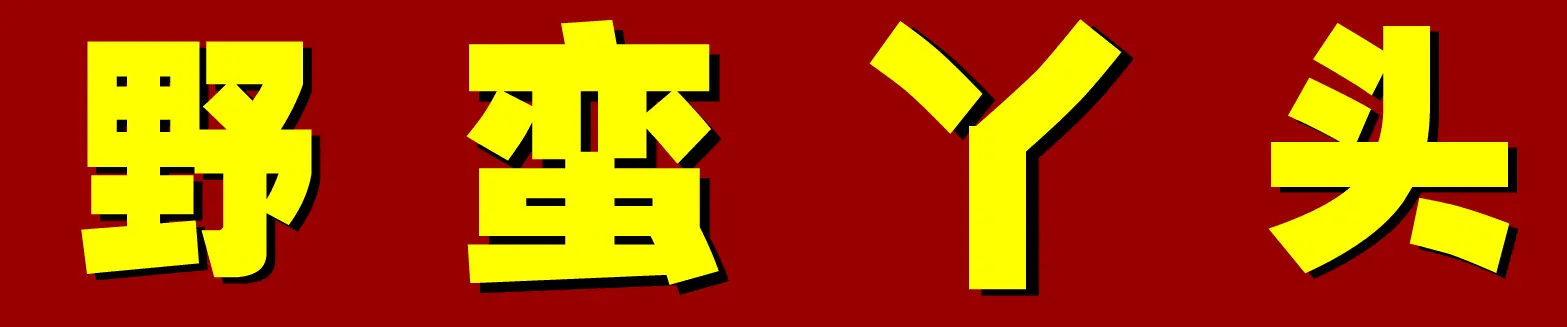 《野蛮丫头》第9集 logo