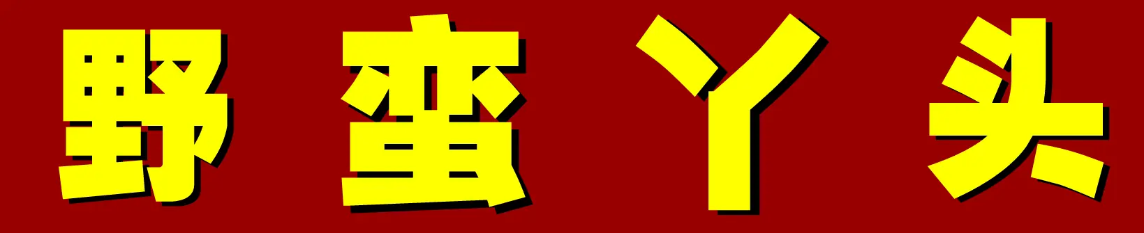 《野蛮丫头》第一集 logo