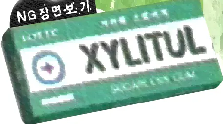 자일리털 logo