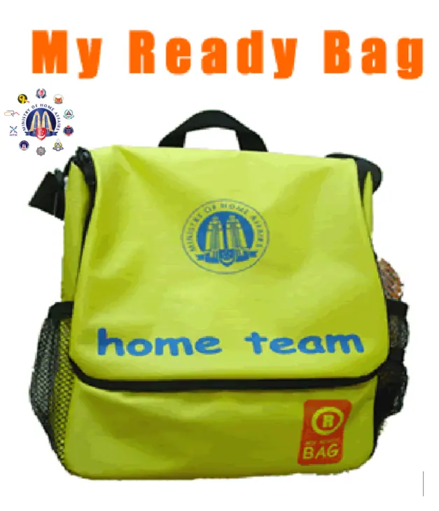Ready Singapore 2005 Homepage Introduction logo