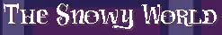 [S] The Snowy World logo
