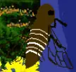 [S] ====> (TLCstuck p 1045) logo