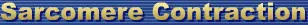 Sarcomere Contraction logo