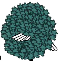 Self-Involved logo