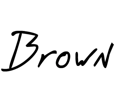 Signature Flash logo