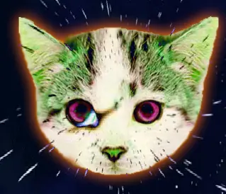 SPACAT logo