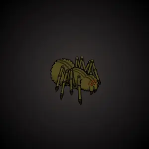 Spider logo