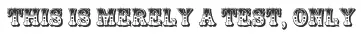 st try logo