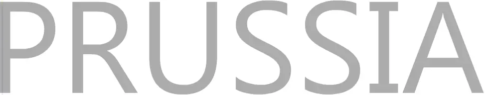 Tetris Style - Prussia Flag logo