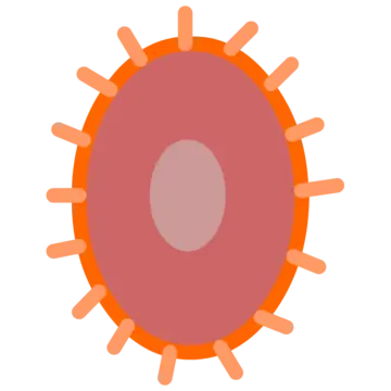The Mysteries of Life With Tim & Moby: Bacteria logo