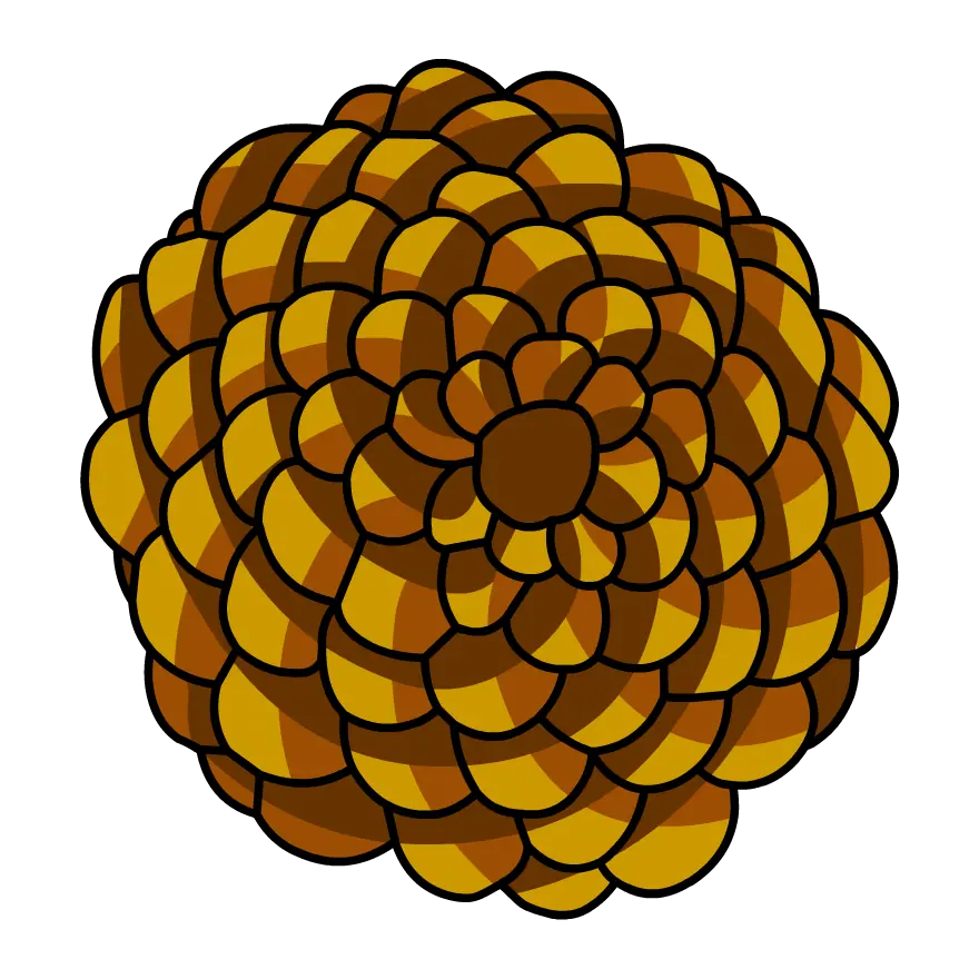 The Mysteries of Life With Tim & Moby: Fibonacci Sequence logo