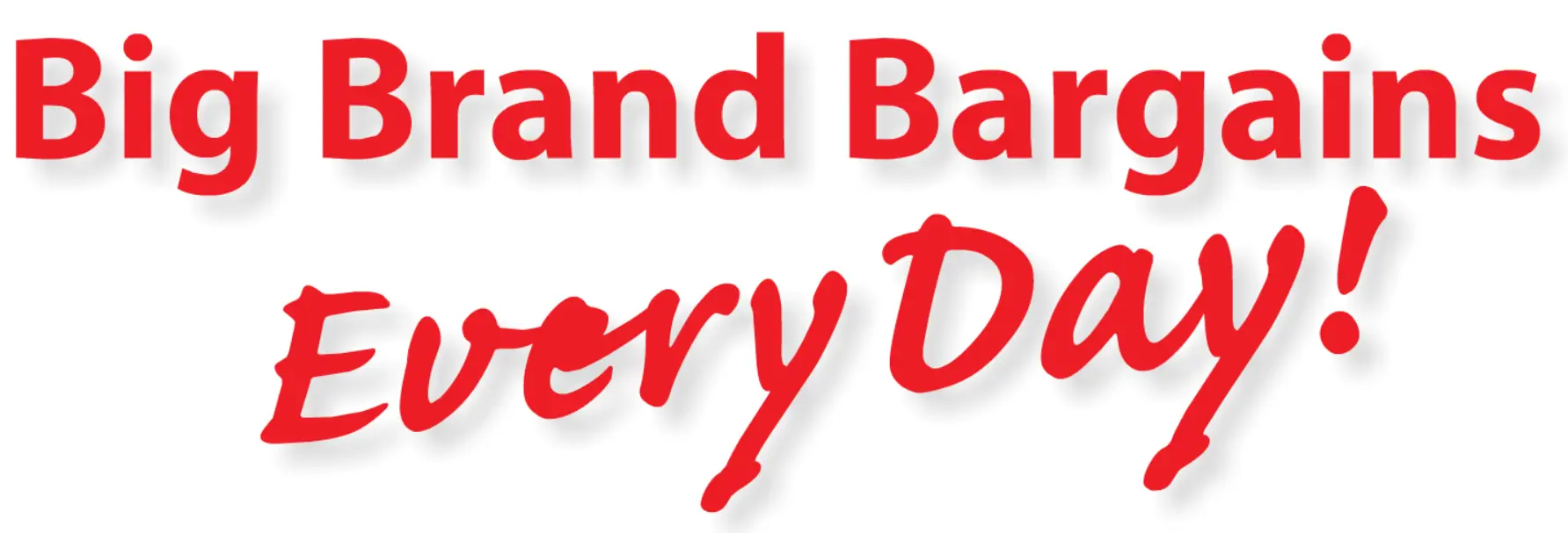 The Reject Shop "Big Brand Bargains Every Day!" Banner logo