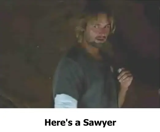 The Sawyer Song logo