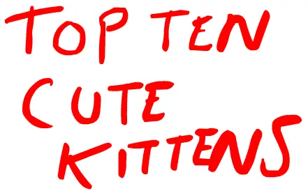 Top 10 Cutest Kittens logo