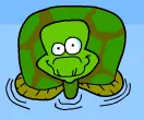 Tortoise Awarness Day logo