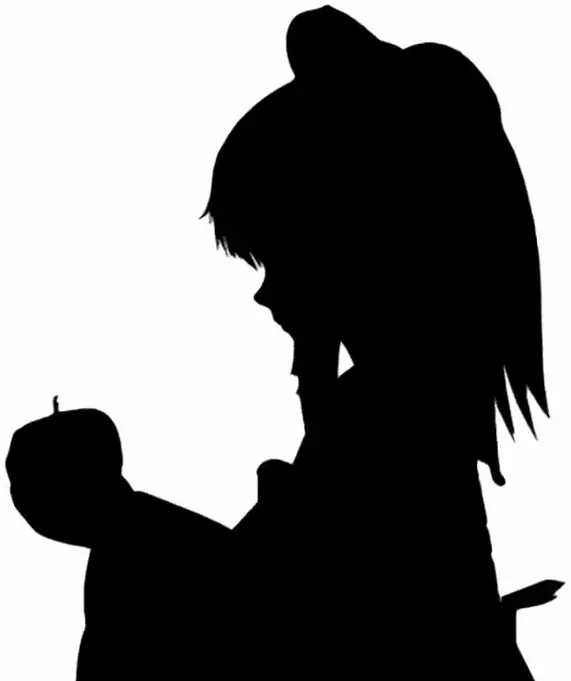 [Touhou] Bad Apple!! PV [Shadow] logo