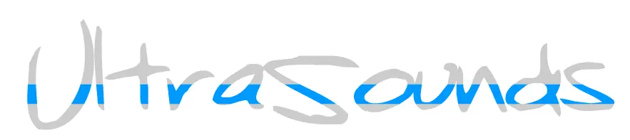 Ultrasounds Flash Test logo