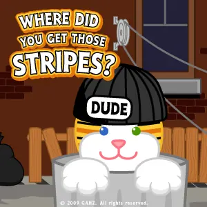 Where Did You Get Those Stripes? logo