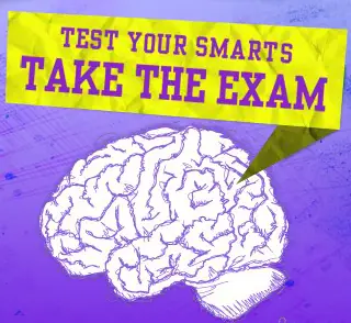 A.N.T. Farm - Brain Teaser logo