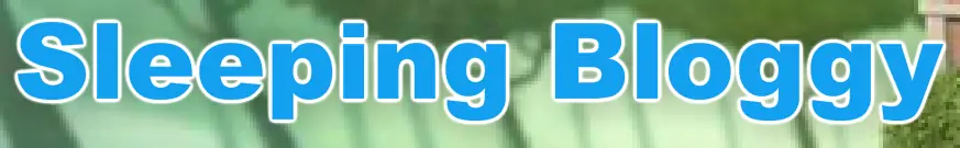 Abby's Flying Fairy School: Sleeping Bloggy logo